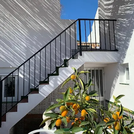 Palm House 10 *