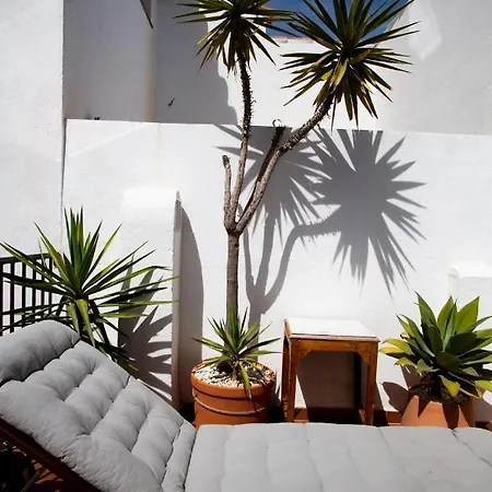 Apartment Palm House 10