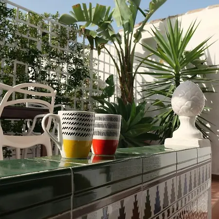 Palm House 10 Apartment *